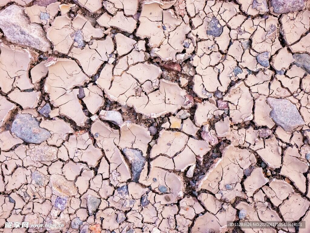 干裂土地纹理特写