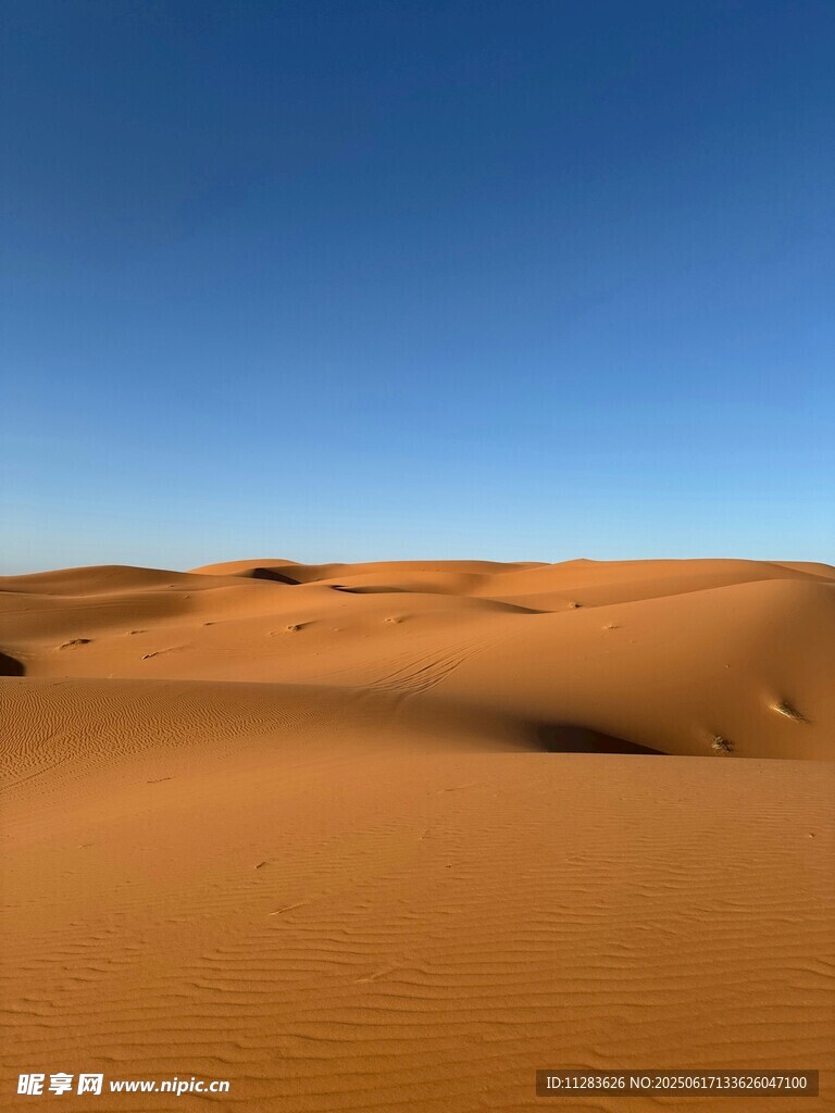 广袤沙漠