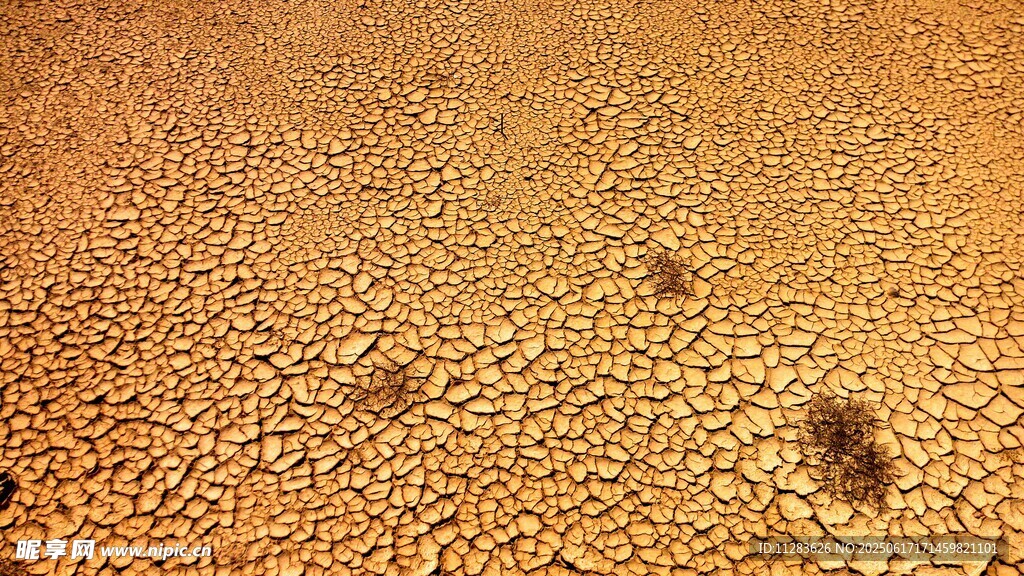 沙漠地表纹理特写