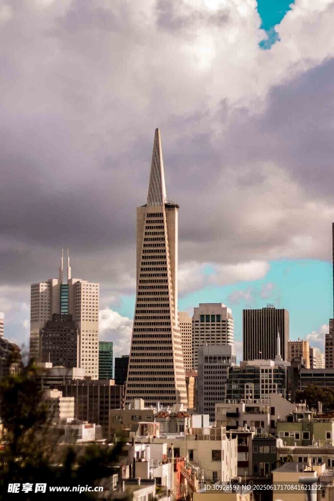 旧金山城市天际线景观