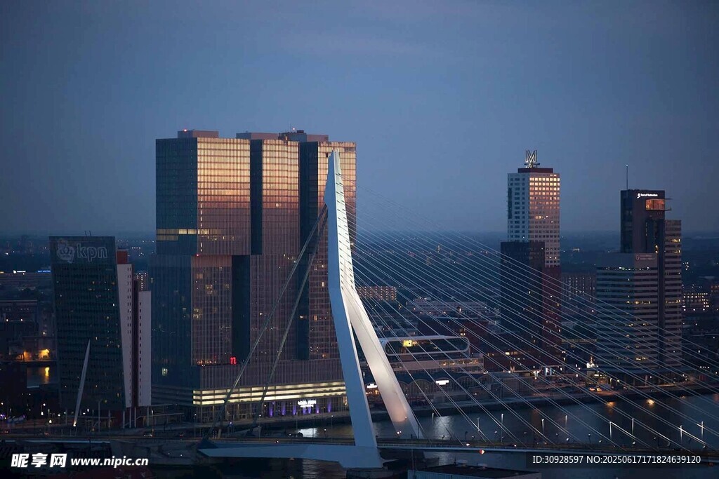 伊拉斯谟斯大桥夜景