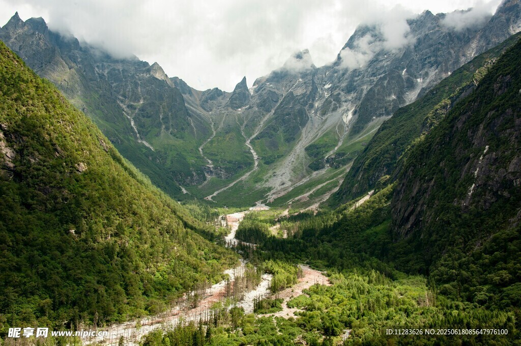 山谷间的翠绿美景