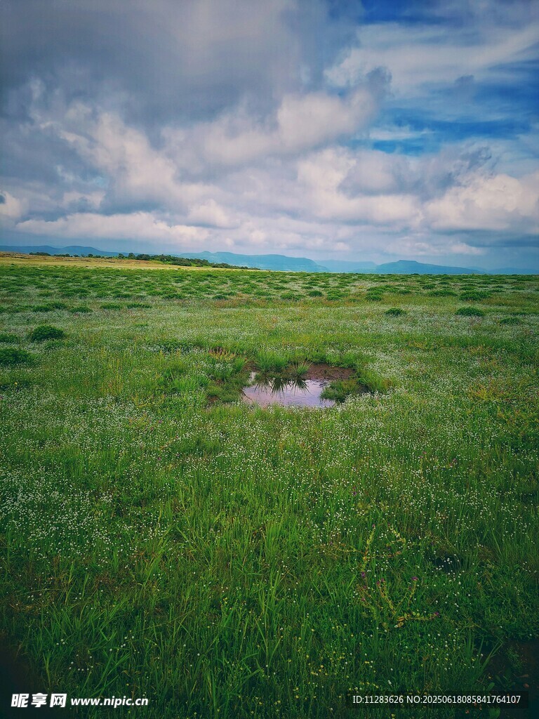 广袤草原上的宁静小水洼