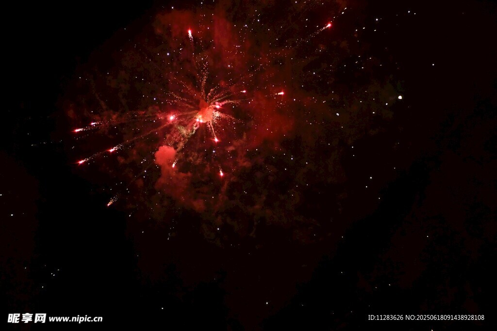 夜空中绽放的绚丽烟花