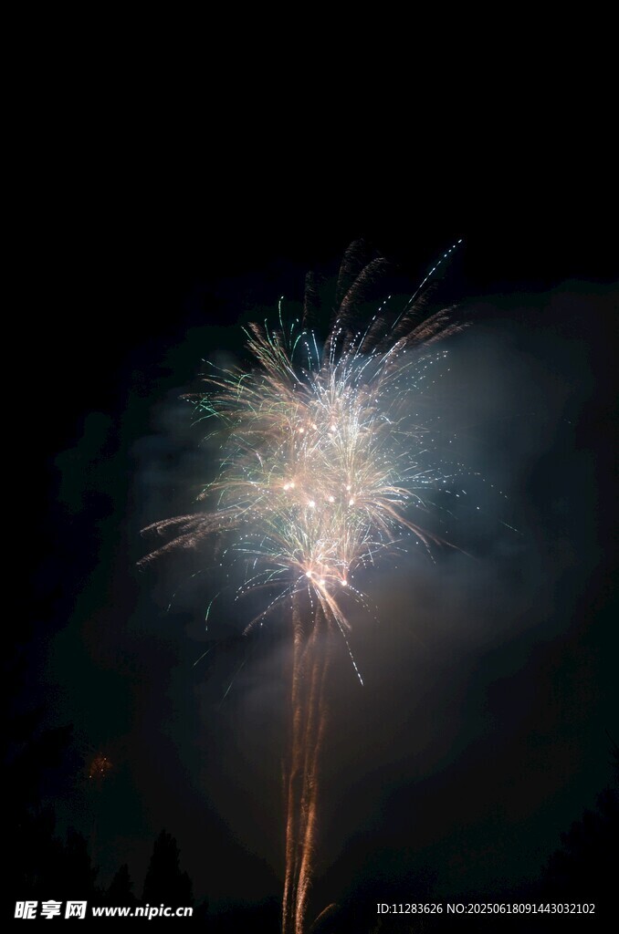 夜空中绽放的绚烂烟花