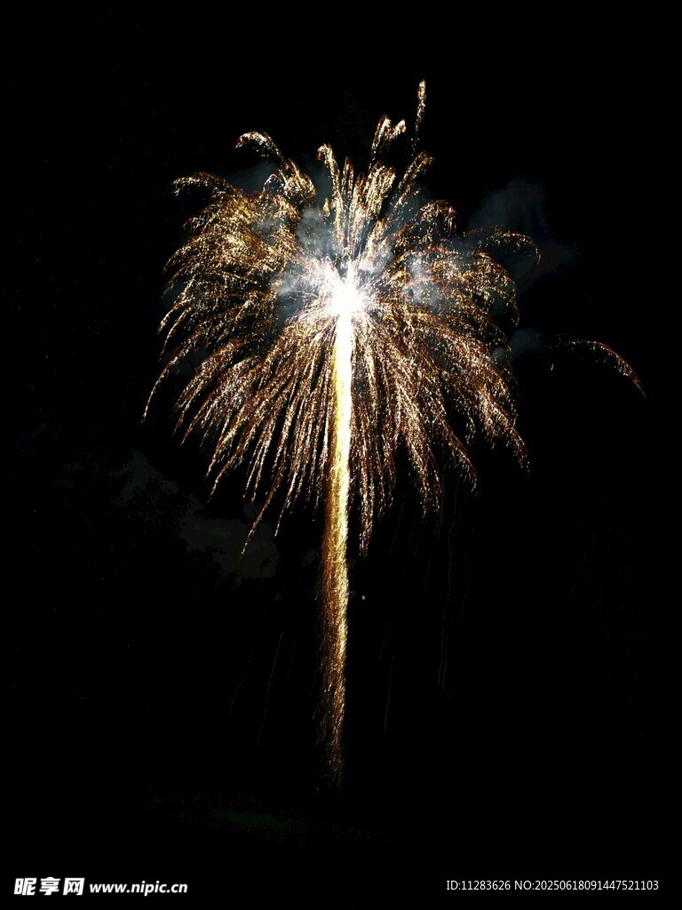 夜空中绽放的绚丽烟花
