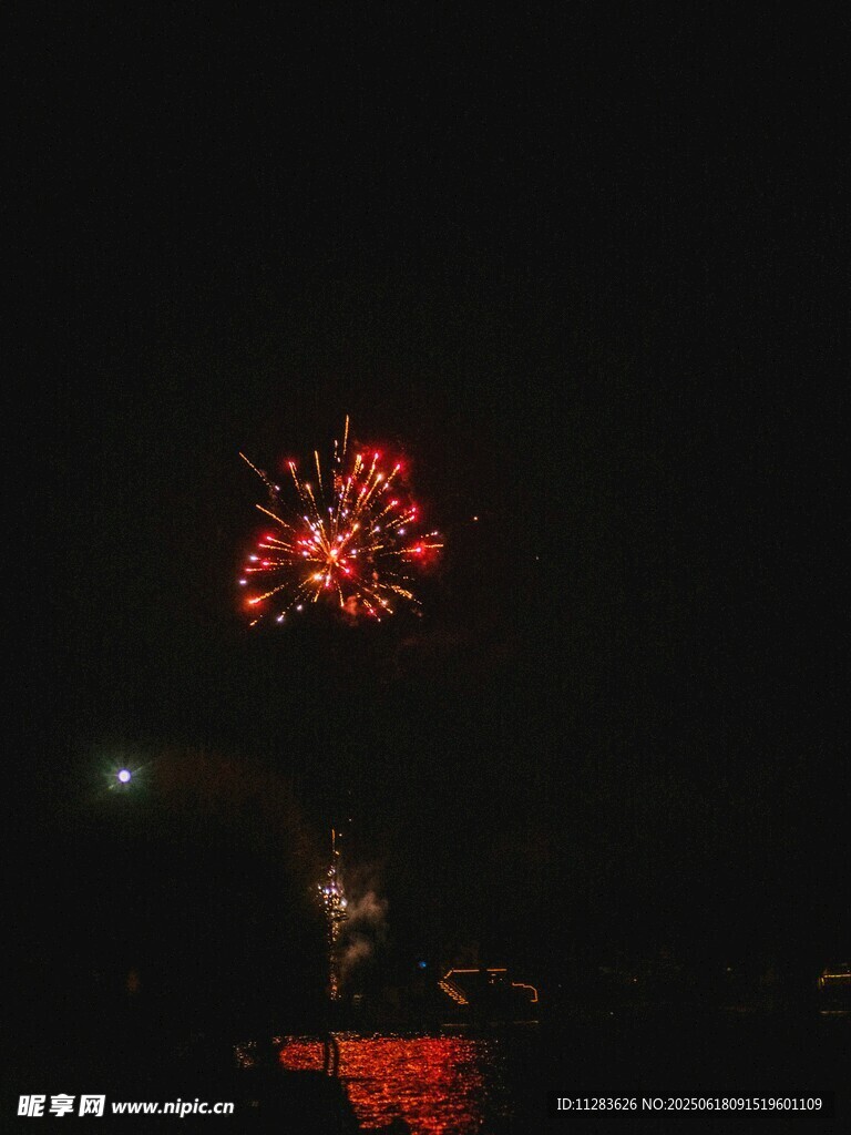 夜空中绽放的绚丽烟花