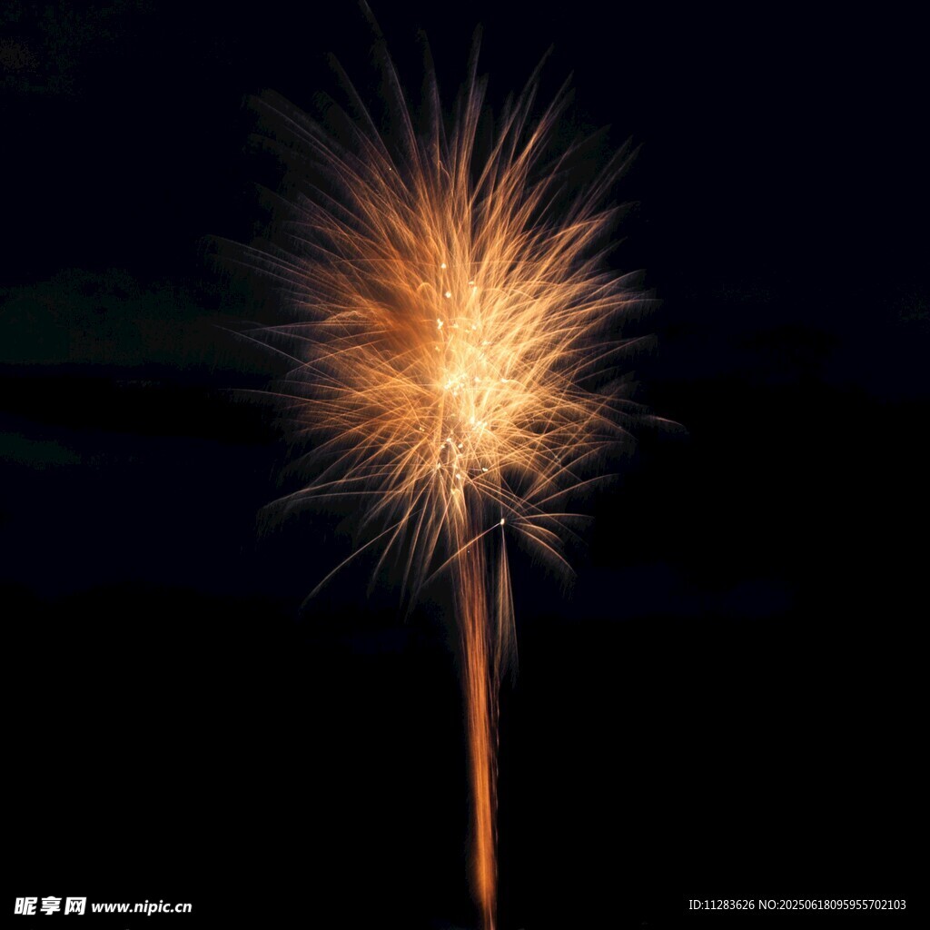 夜空中闪耀的绚烂烟花