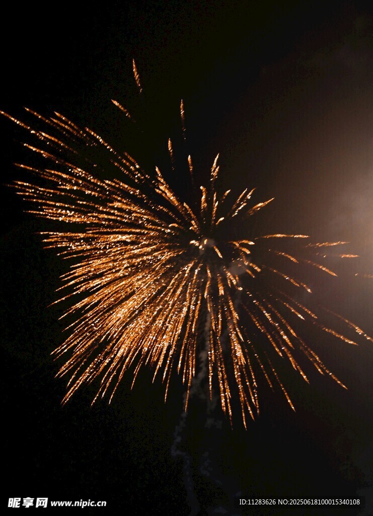 夜空中绚烂的金色烟花