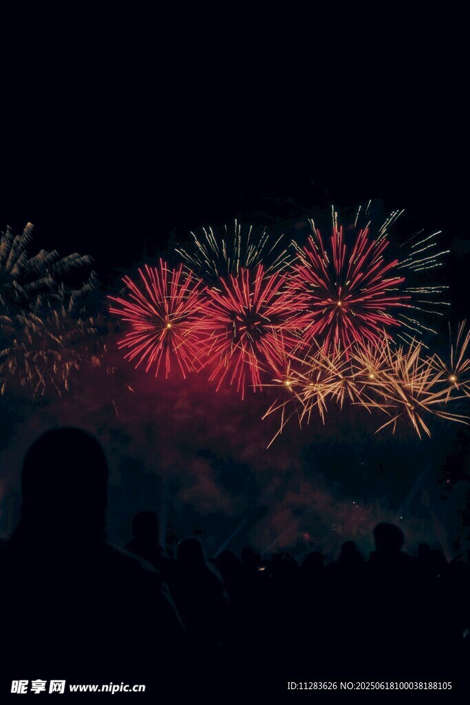 夜空中绚烂的烟花表演