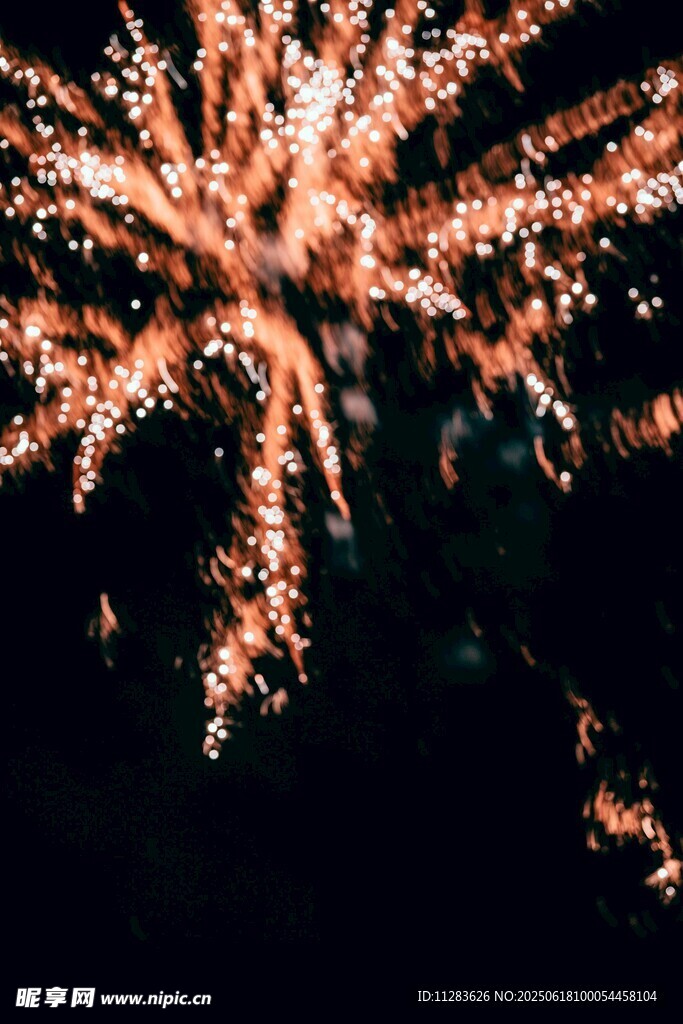 绚丽烟花绽放夜空