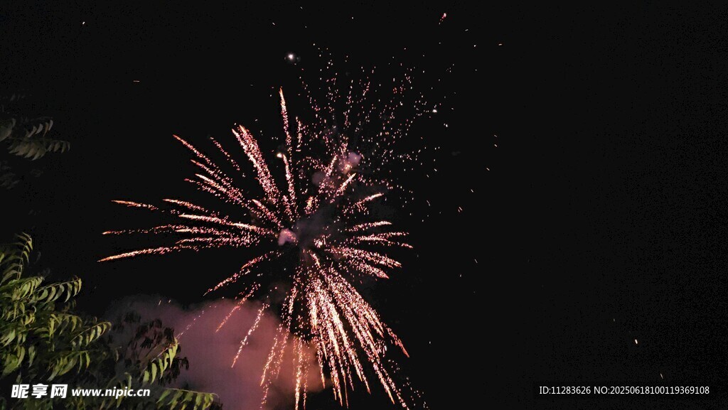 夜空中绚烂绽放的烟花
