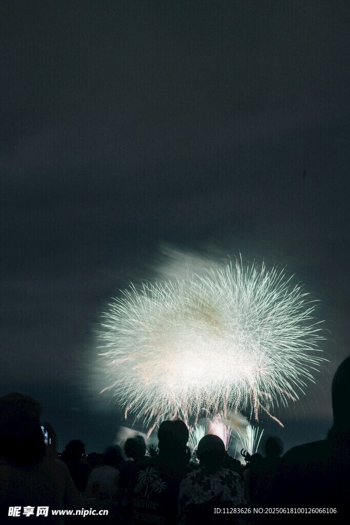 夜空中绚烂的烟花表演