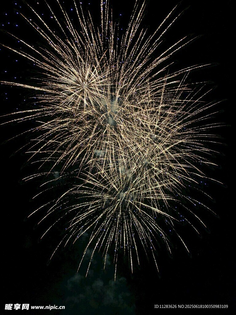 夜空中绚烂绽放的烟花