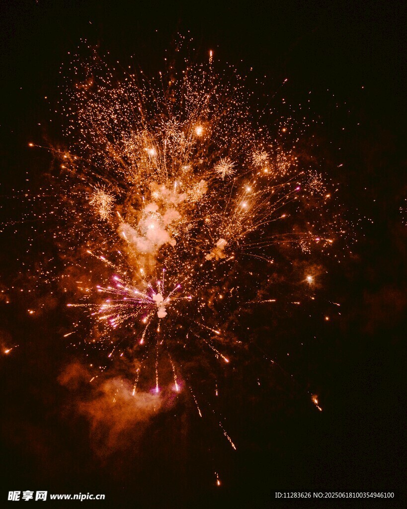 绚丽烟花绽放夜空