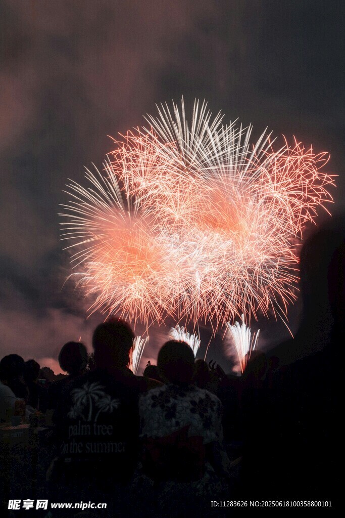 夜空中绚烂的烟花表演