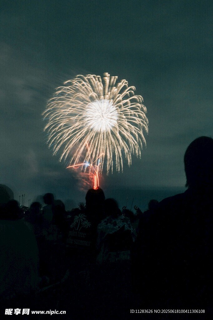 夜空中绚烂的烟花表演