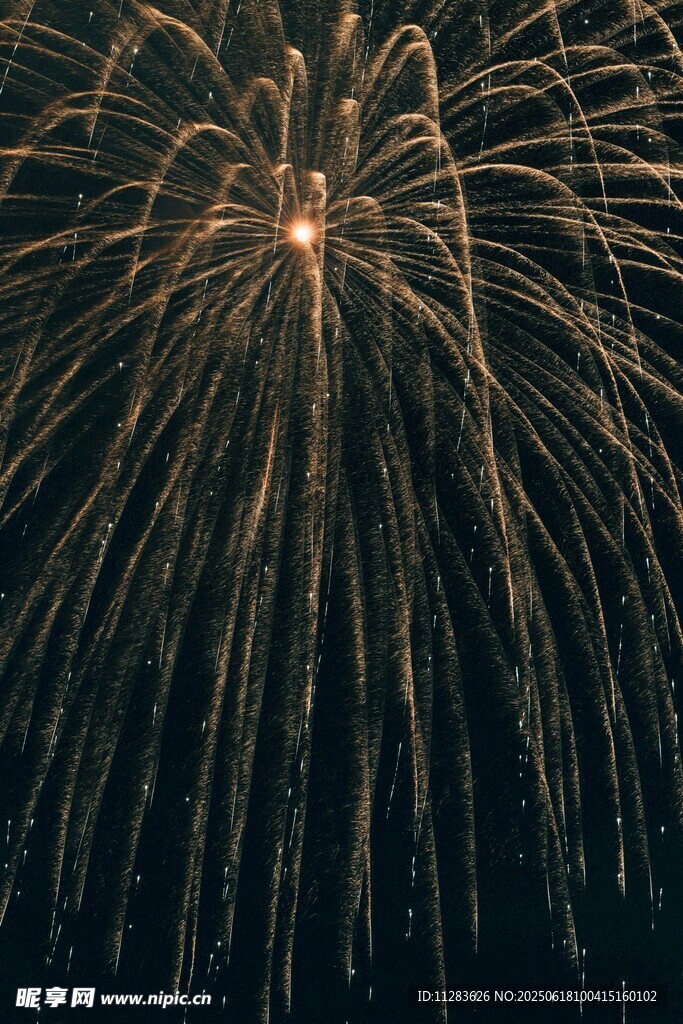 夜空中绚烂绽放的烟花