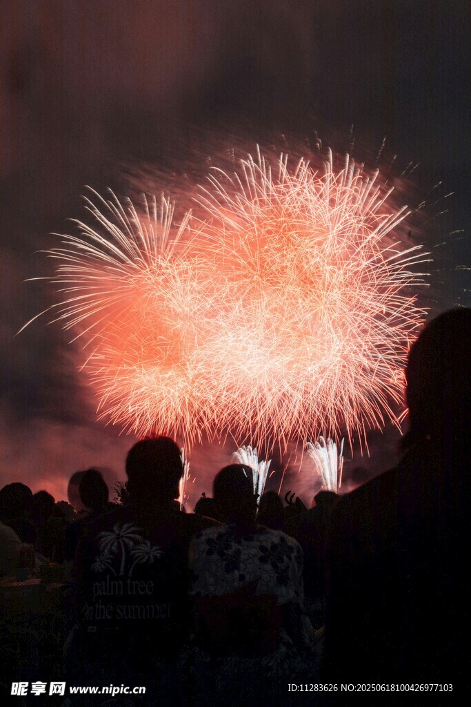 夜空中绚烂的烟花与人影