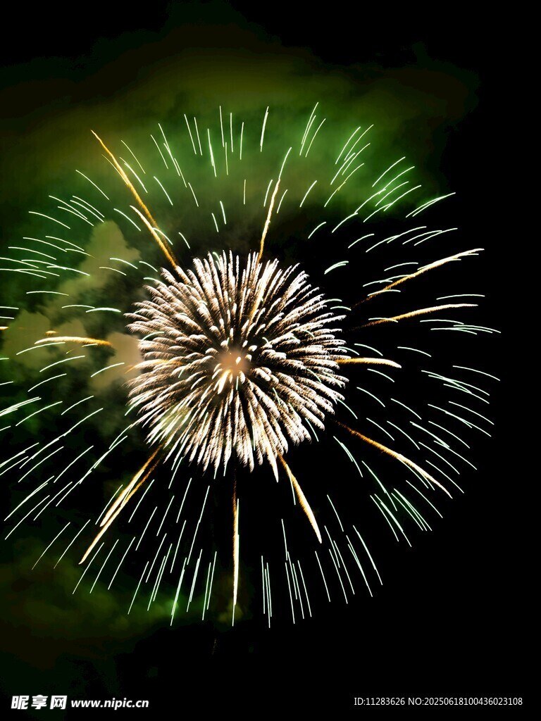 绚丽烟花绽放夜空
