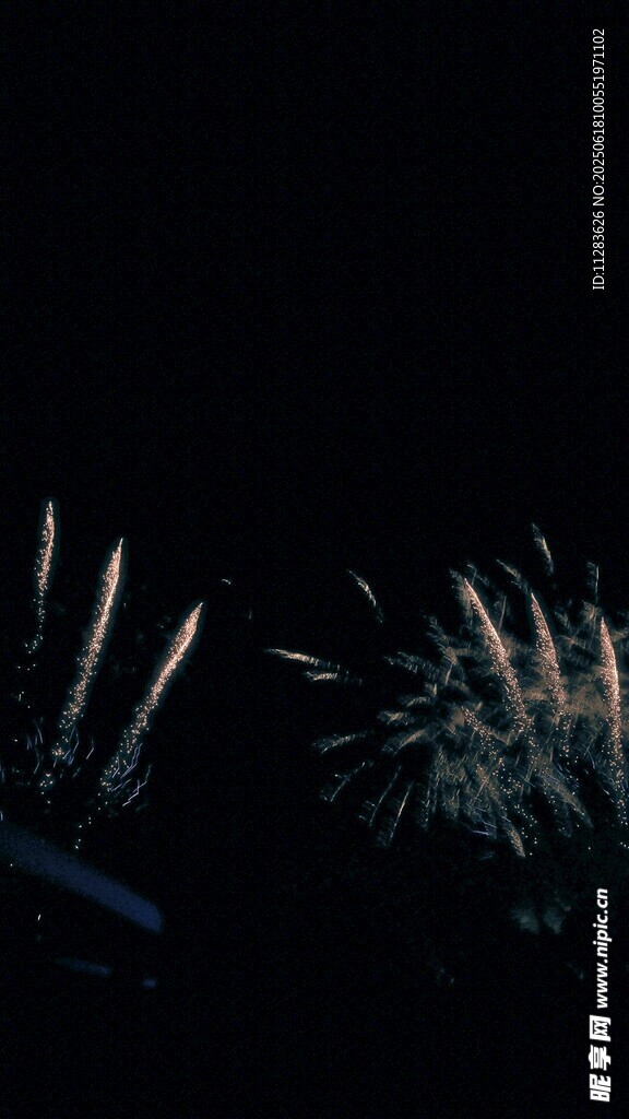 夜空中绚烂的烟花绽放