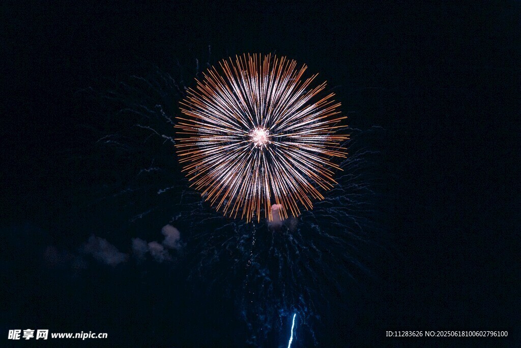 夜空中绽放的绚丽烟花