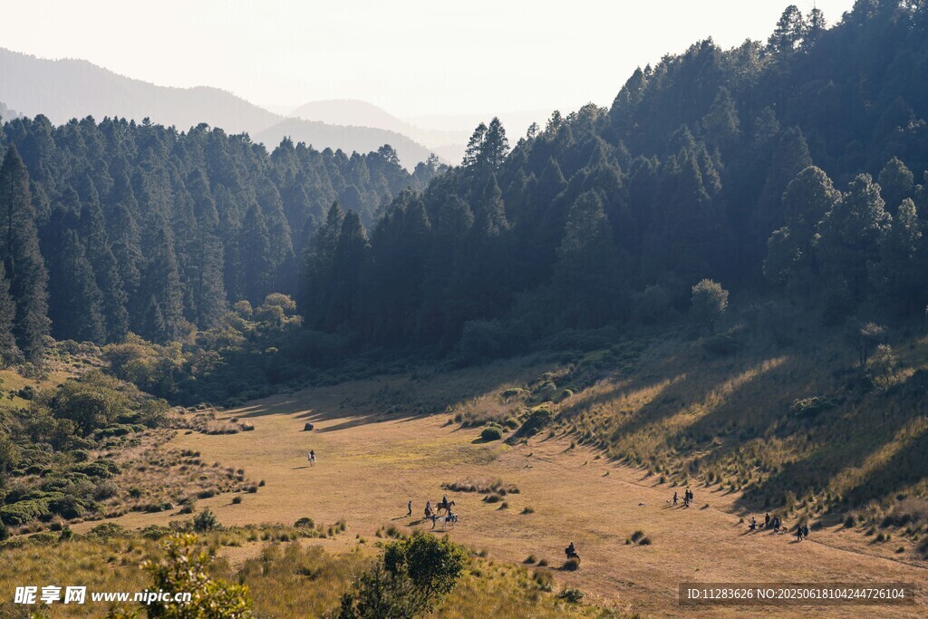 山间开阔地