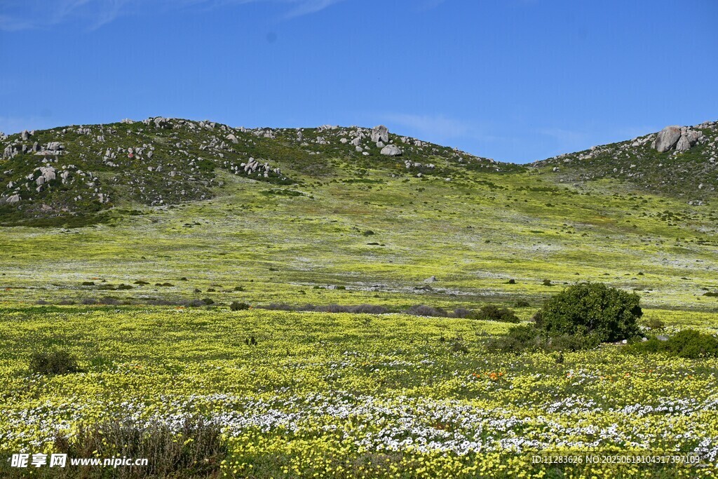 广袤绿野间的自然美景