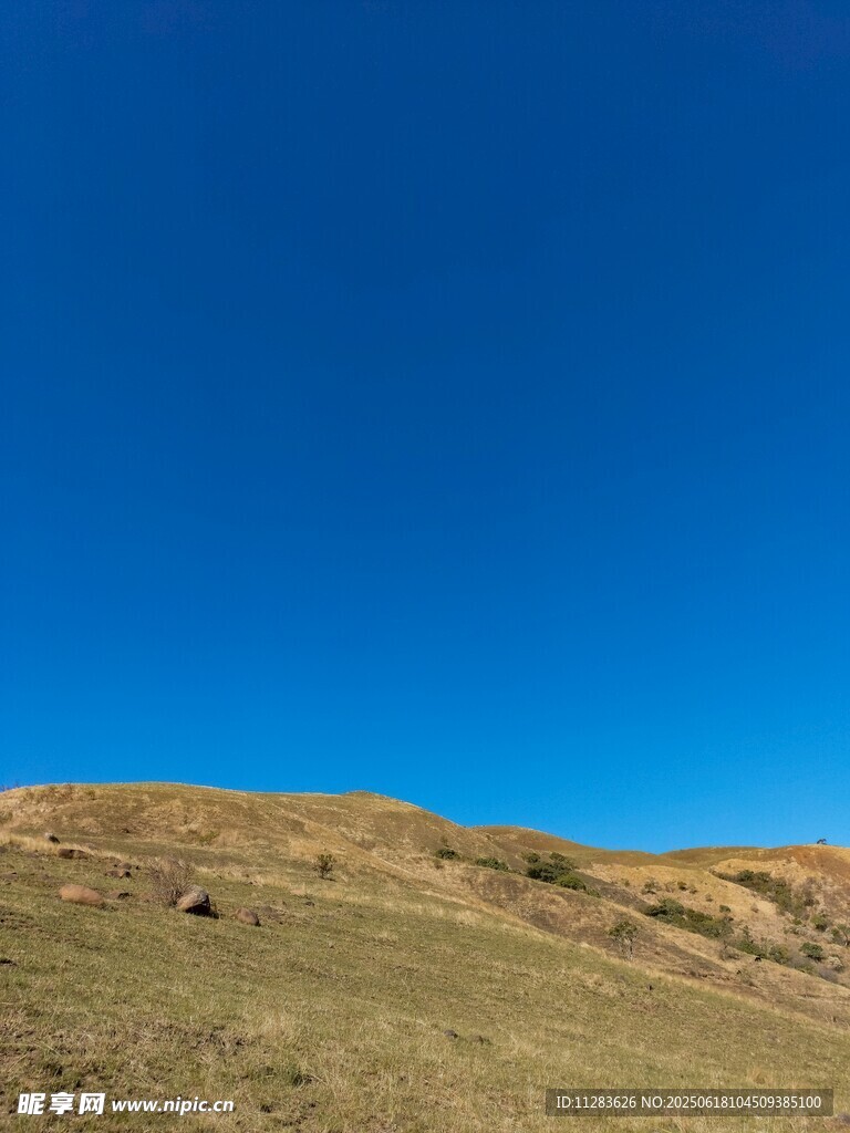 蓝天映衬下的开阔草地