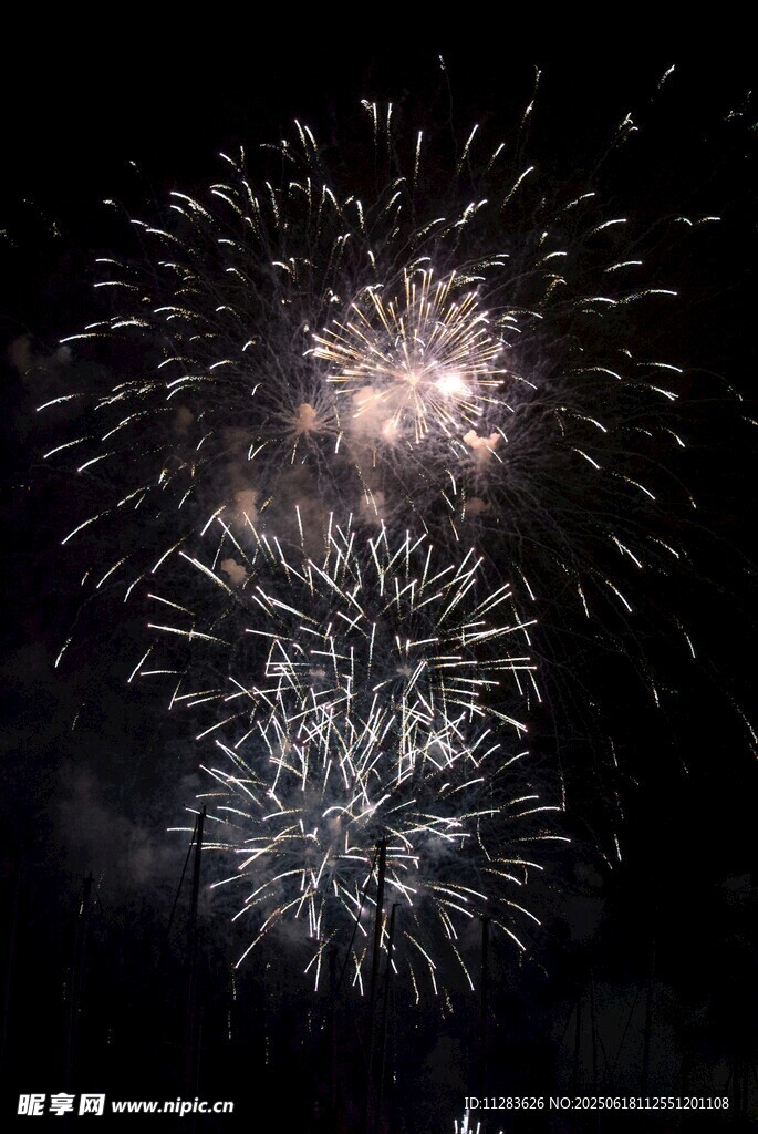 夜空中绚烂的烟花绽放