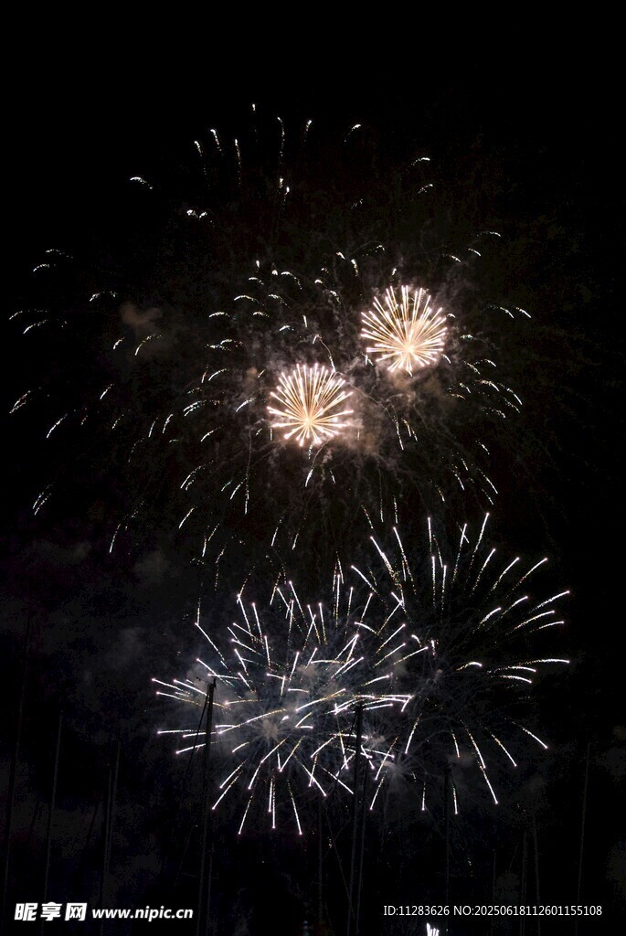 夜空中绚烂的烟花绽放