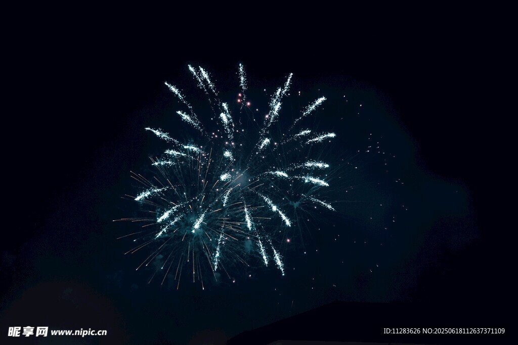 夜空中绽放的绚烂烟花