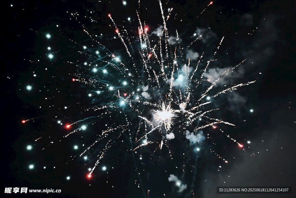 夜空中绚烂绽放的烟花
