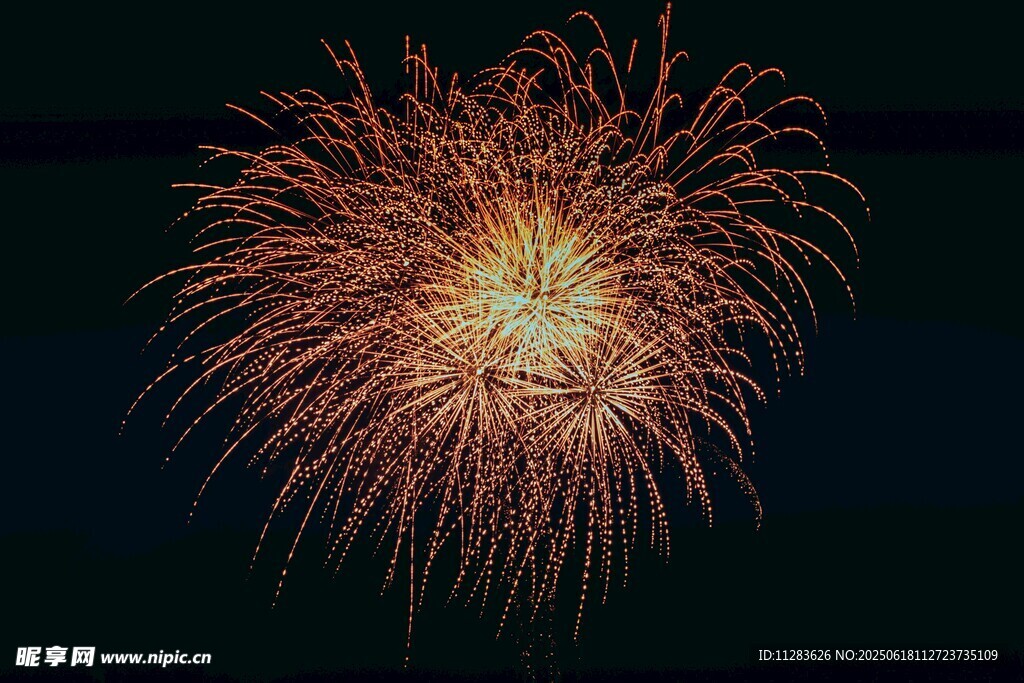 夜空中绚烂绽放的烟花