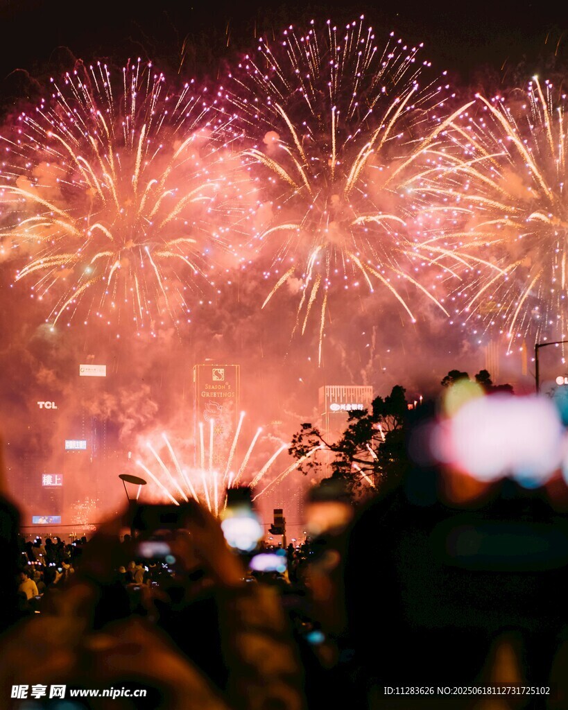 夜空中绚烂的烟花盛宴