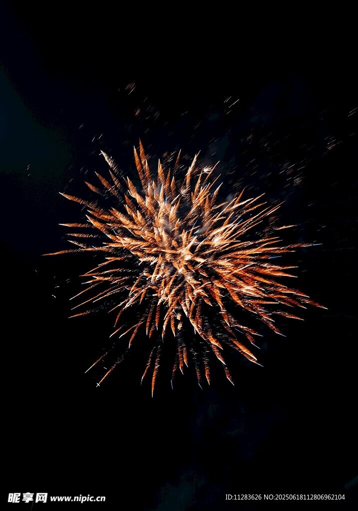 夜空中绚烂绽放的烟花