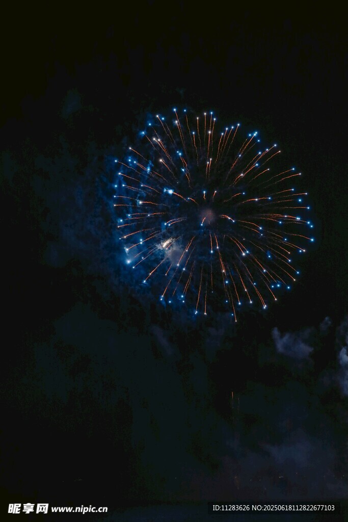 夜空中绽放的绚丽烟花