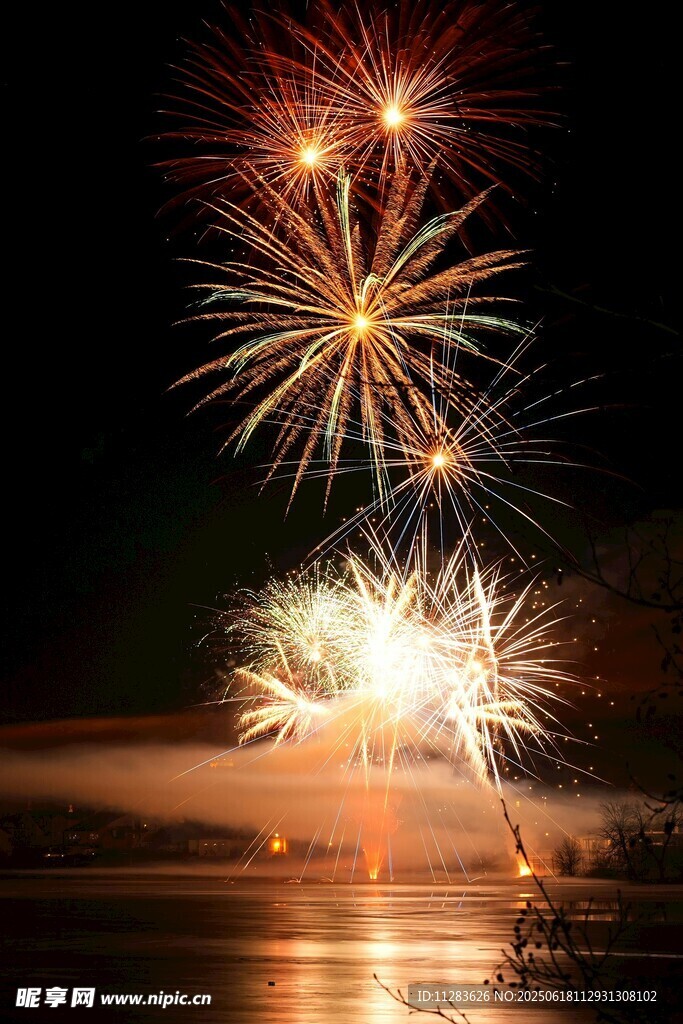 夜空中绚烂绽放的烟花