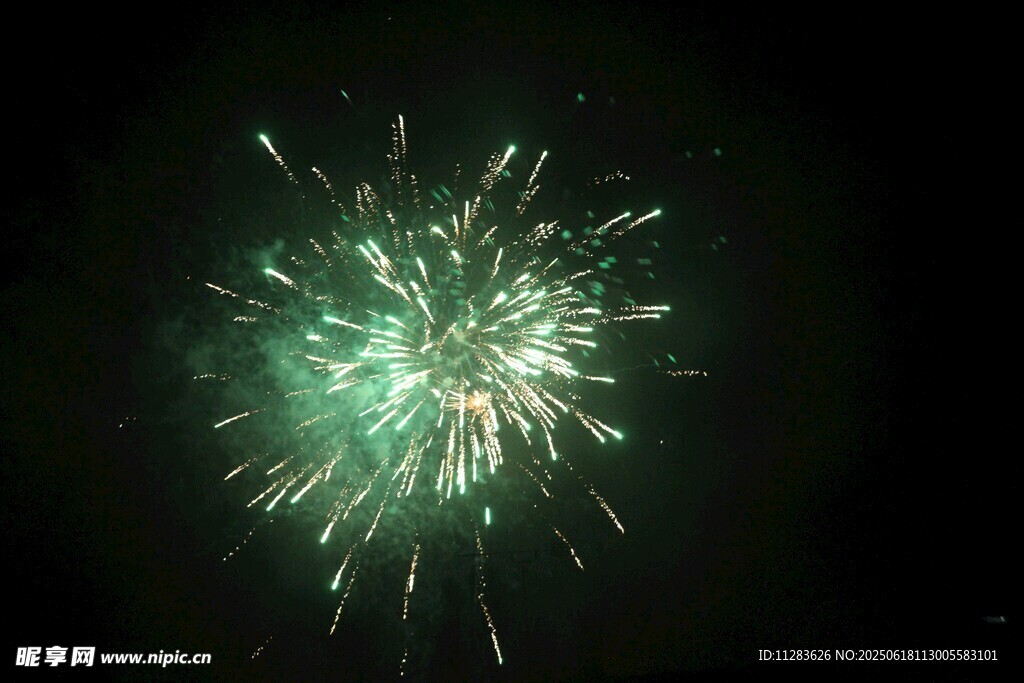 夜空中绽放的绿色烟花