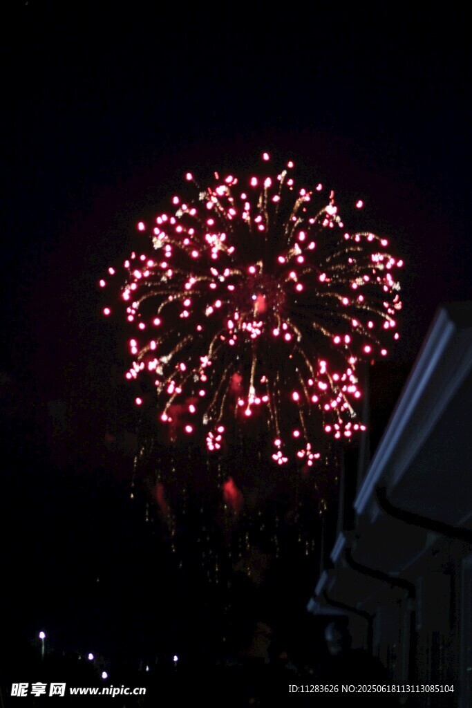 夜空中绚烂绽放的烟花
