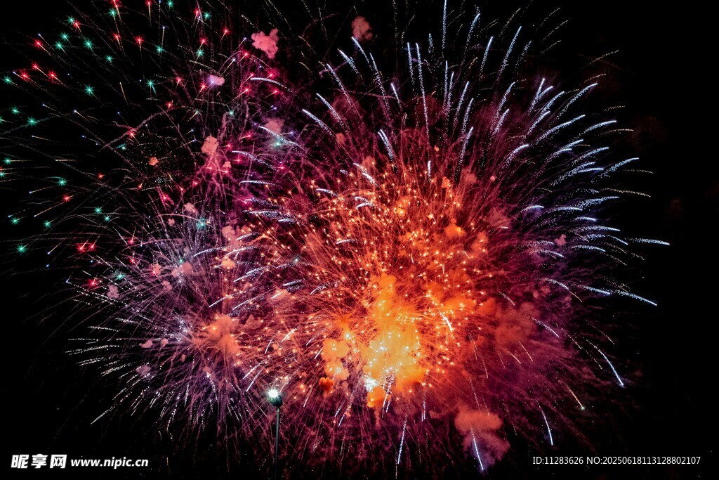 绚丽烟花绽放夜空