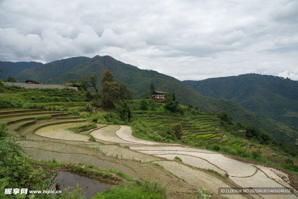 山间梯田美景