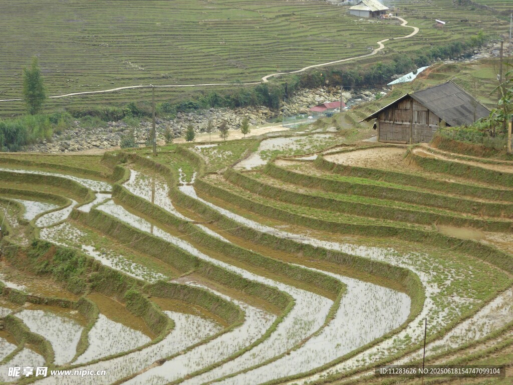 美丽梯田风光