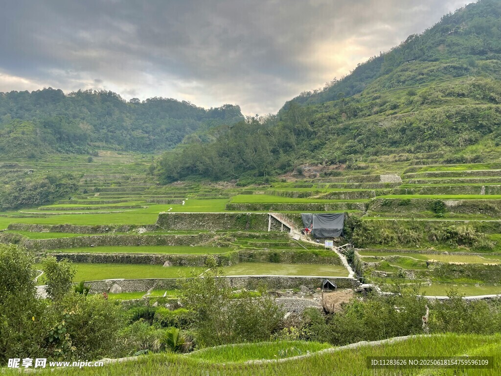 山间梯田美景