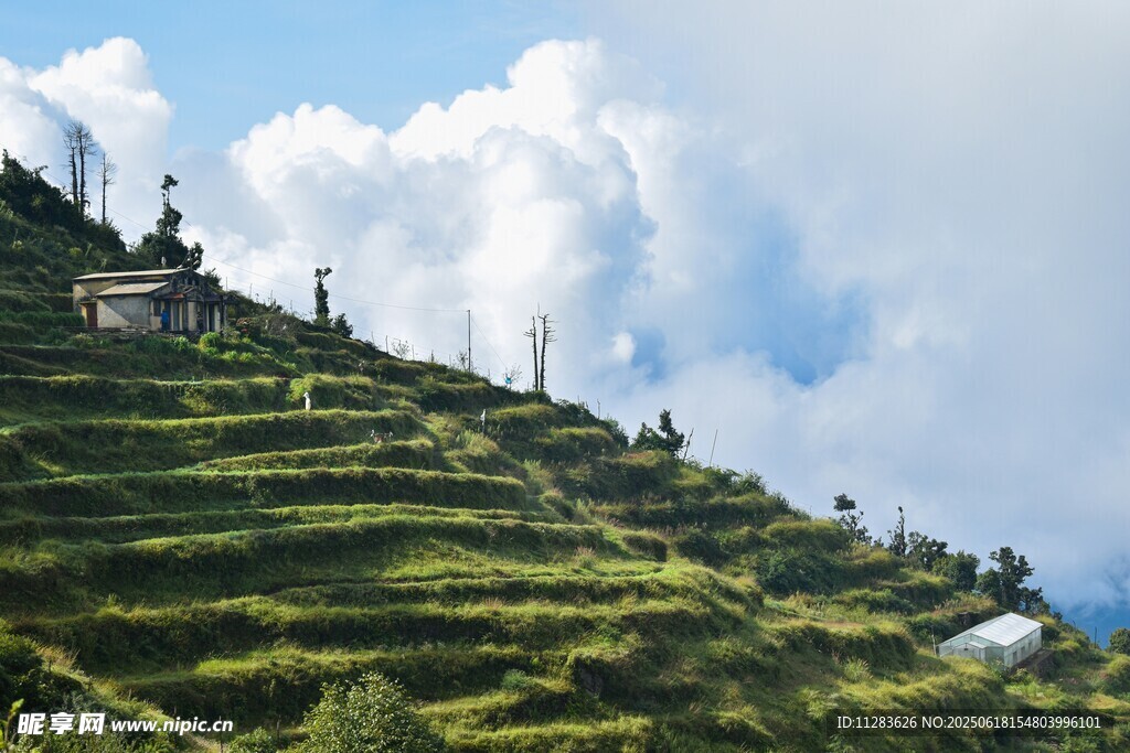 山间梯田美景