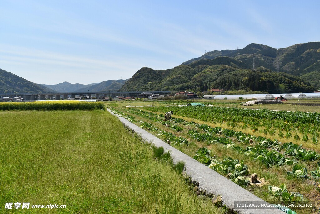 田园风光中的农田与远山