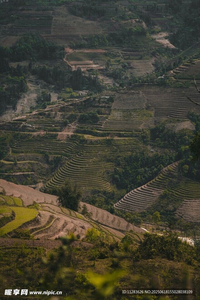 山间梯田美景