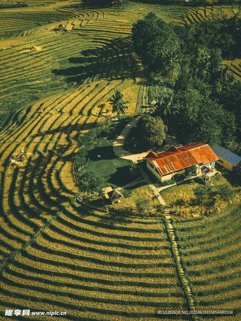 梯田中的红顶小屋