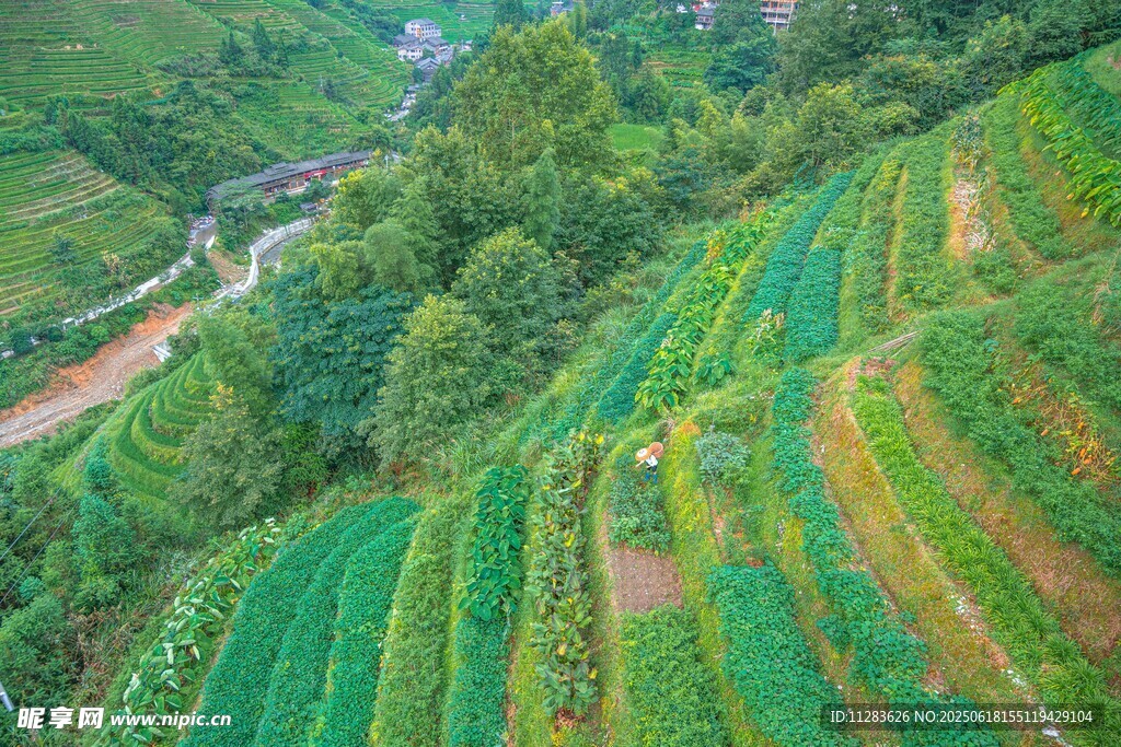 山间多彩梯田美景