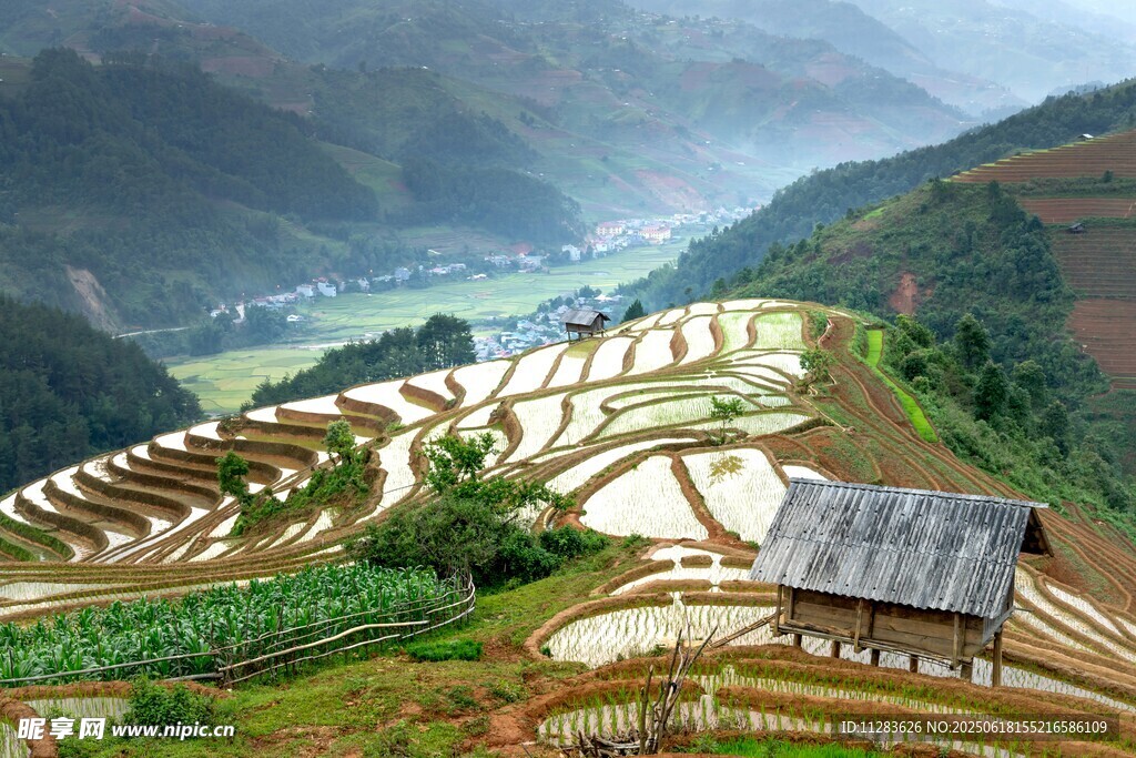 山间梯田小屋的田园风光